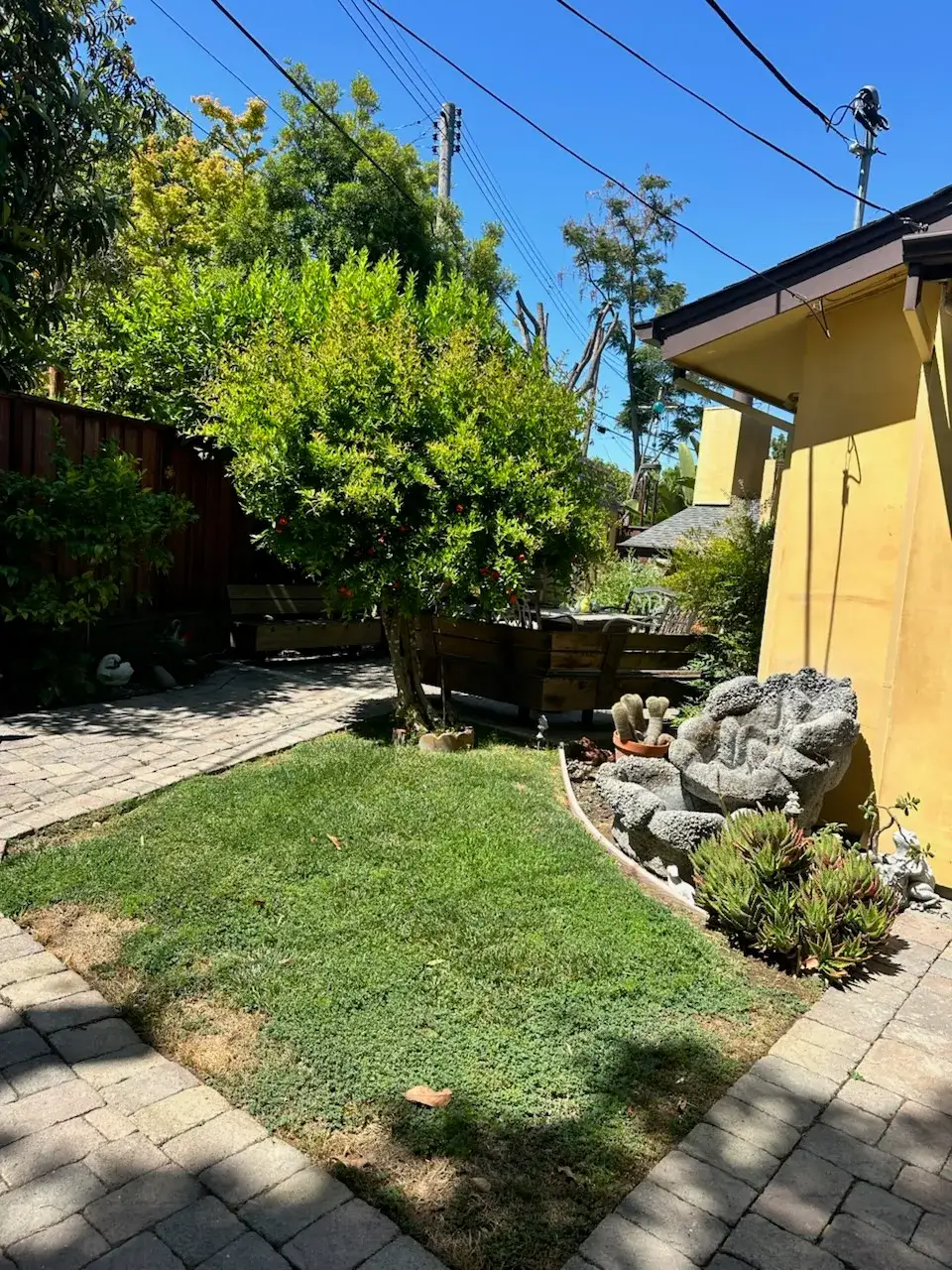 Cottage side yard with a small lawn and redwood raised beds
