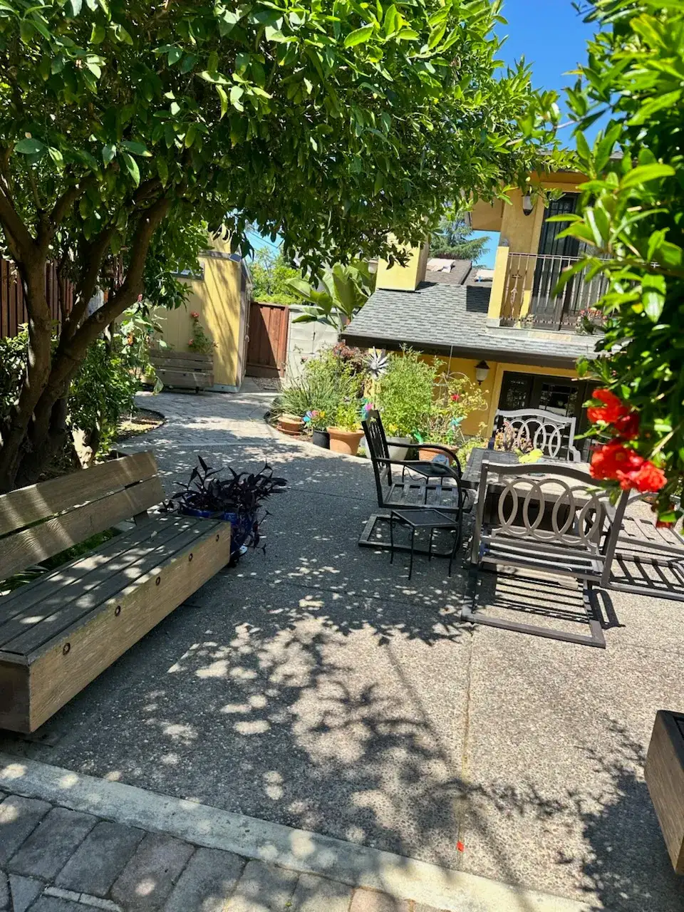 Exposed-aggregate patio with a redwood bench under the spreading tree.
