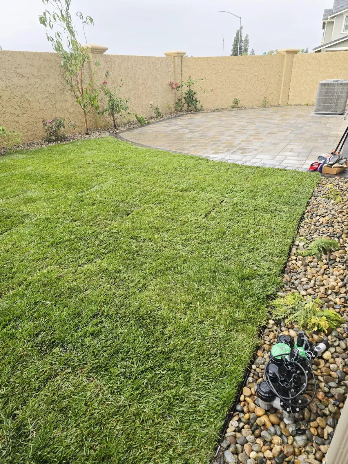 New sod lawn beside a paver patio with a pebble border