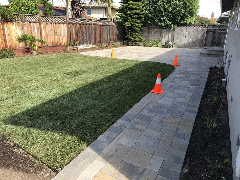 New sod lawn beside a paver walkway