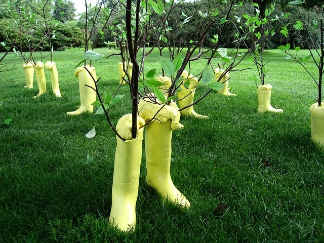 plant-tree-installation-image