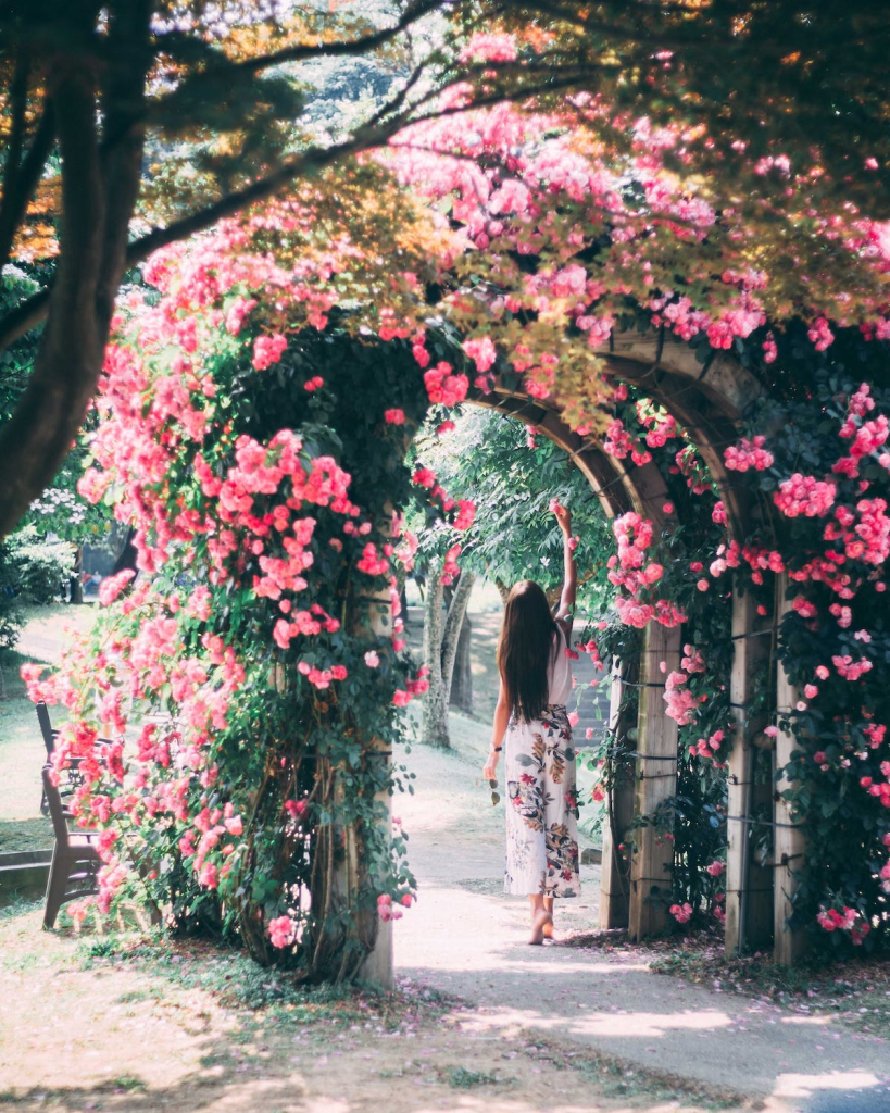 Picture1 A floral arch over an arbor in a garden.