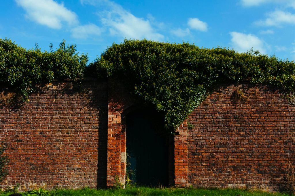 Picture3 A brick arch with various leaves growing over it.