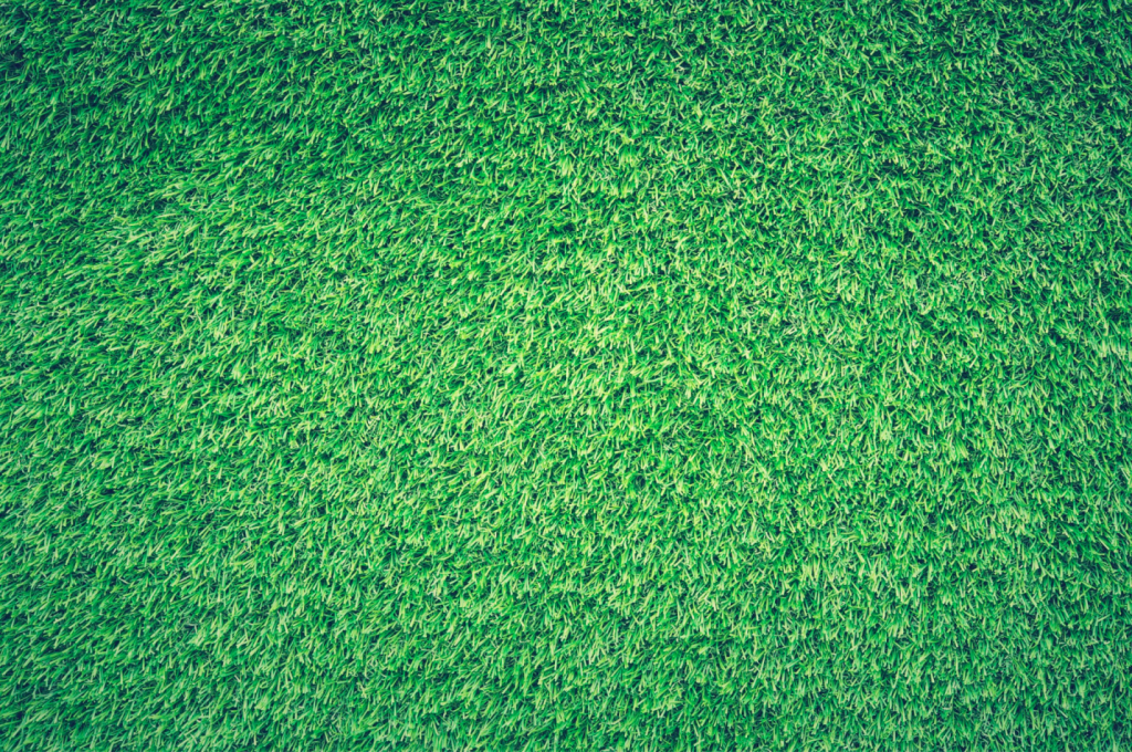 Realistic-looking grass and turf on the ground.