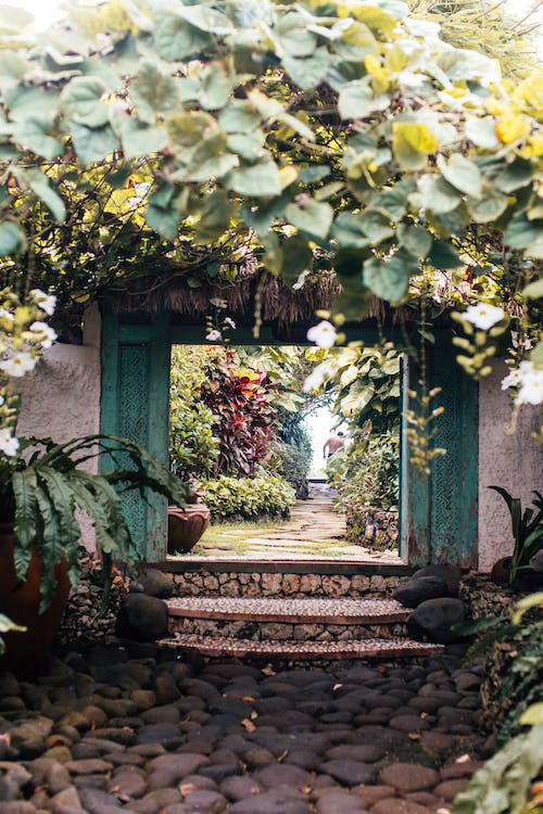 Pathway surrounded by lush green trees and plants in a garden