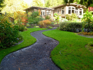 home-landscape-yard-garden