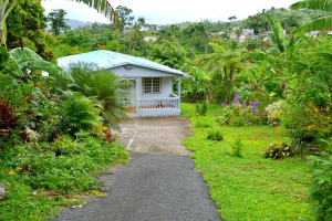 house-green-garden-pathway