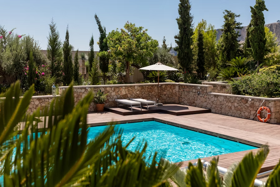A backyard with a pool and greenery around it.