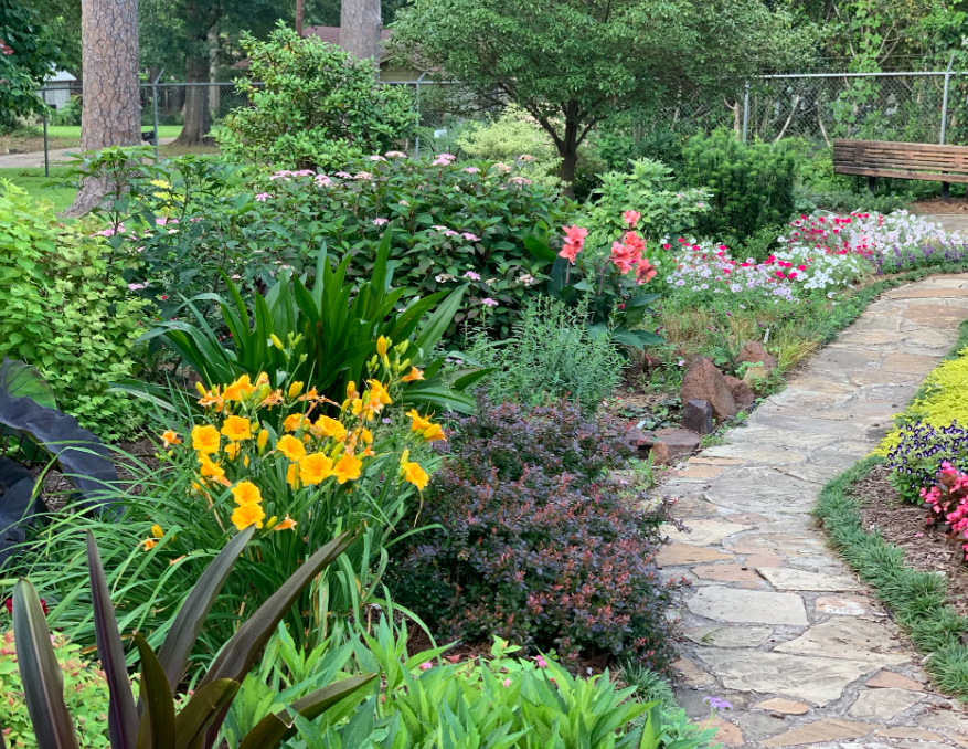 tree-company-San-Jose A well-maintained backyard by a landscaping contractor in San Jose.