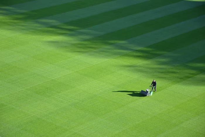A perfectly manicured turf landscape.