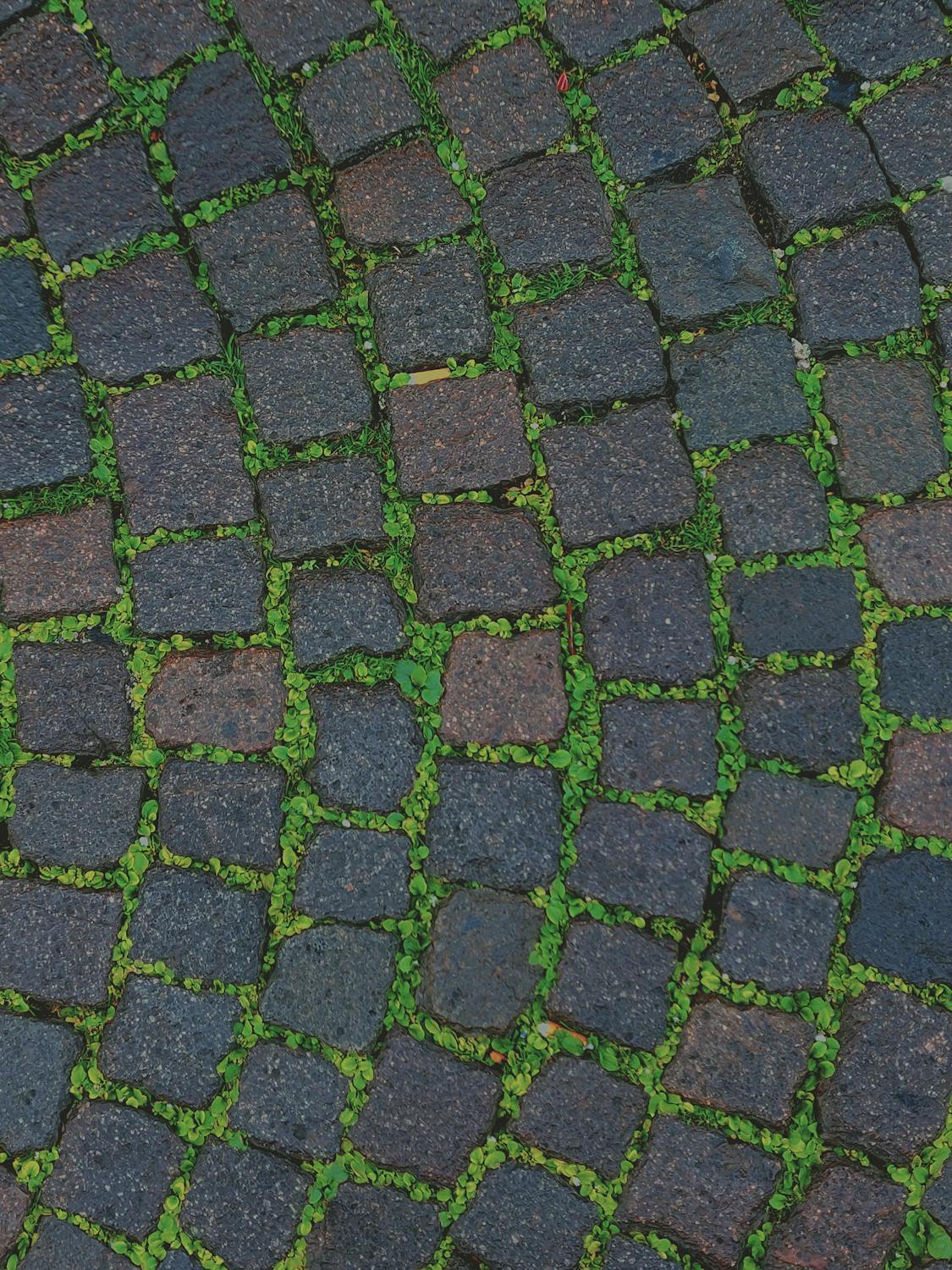 A photo of permeable paving.