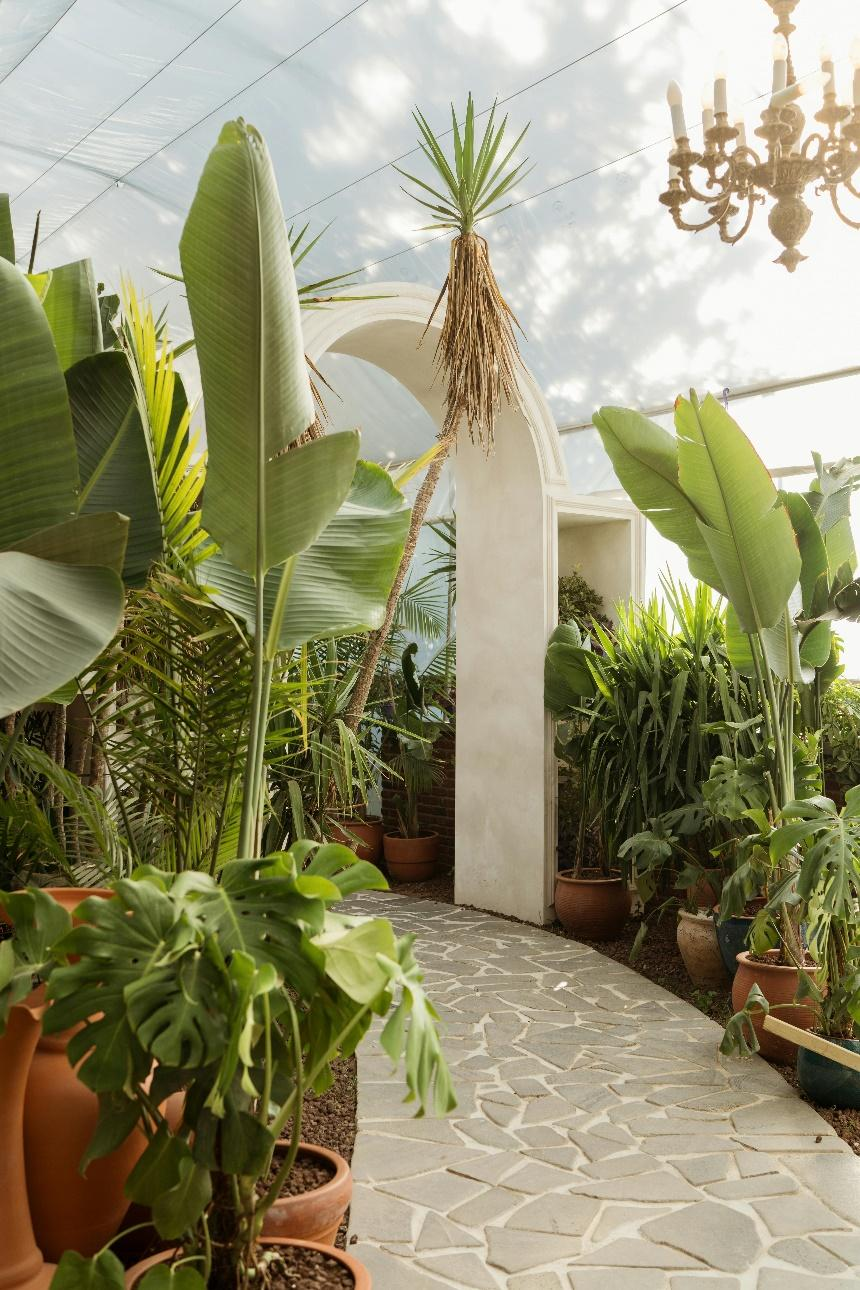 A concrete walkway with greenery