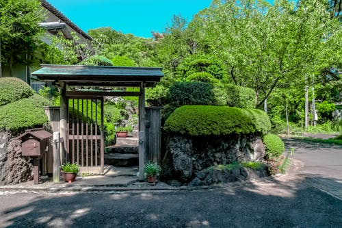 Wooden entrance of a house with a beautifully renovated landscape, featuring fresh lawn installation and a polished pathway.